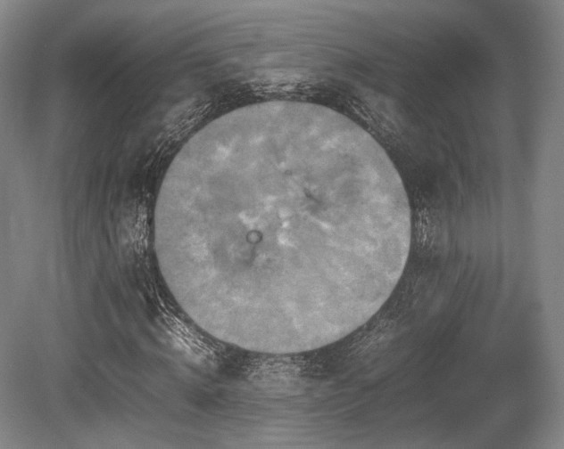 X0000080660820200612151129