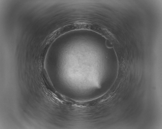 X0000080660821200612151129
