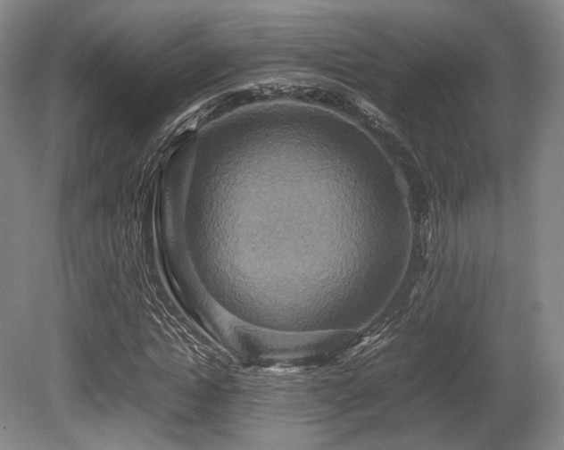 X0000080660822200612151129