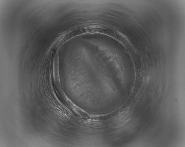 X0000080660823200612151129