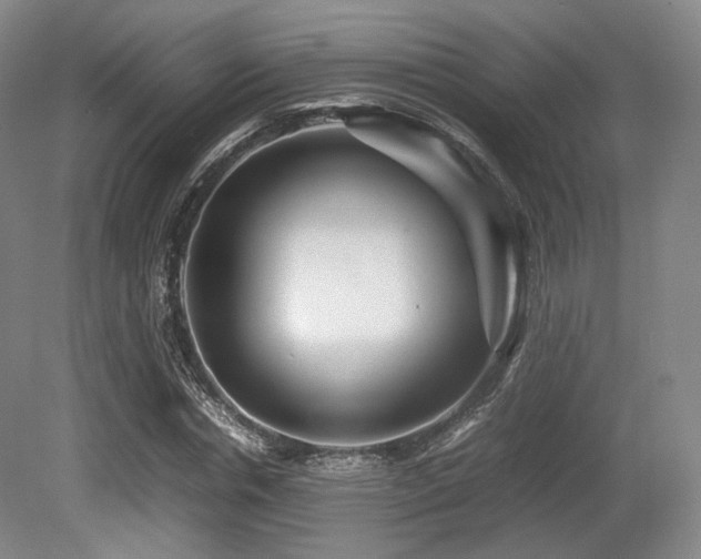 X0000080660826200612151129