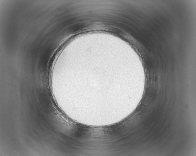 X0000080660828200612151129