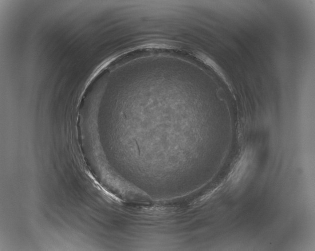 X0000080660829200612151129