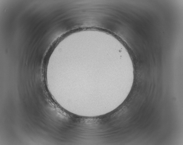 X0000080660832200612151129