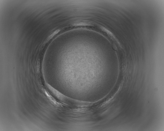 X0000080660833200612151129