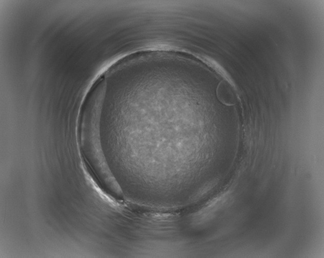X0000080660839200612151129