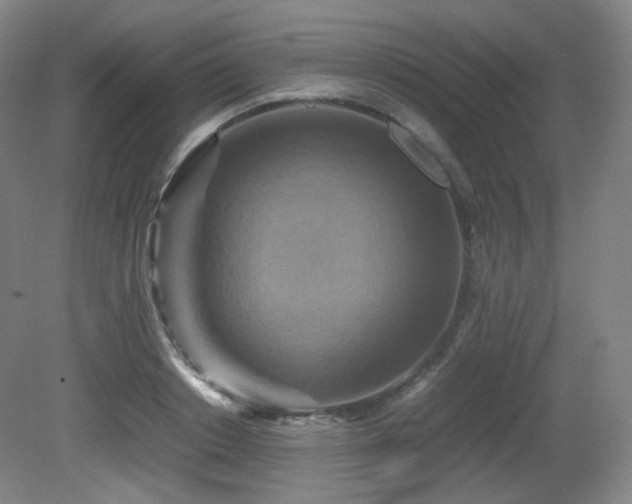 X0000080660842200612151129