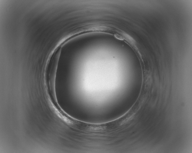 X0000080660843200612151129