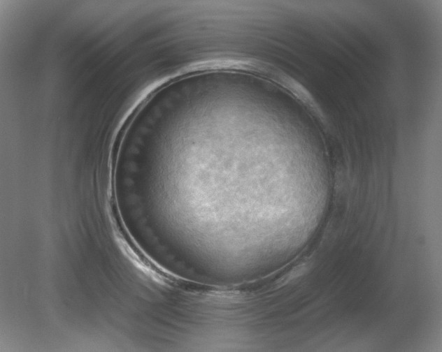 X0000080660844200612151129