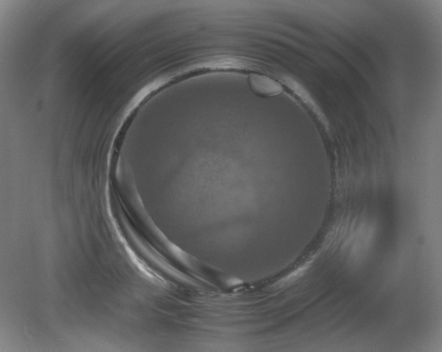 X0000080660845200612151129