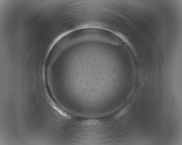 X0000080660846200612151129