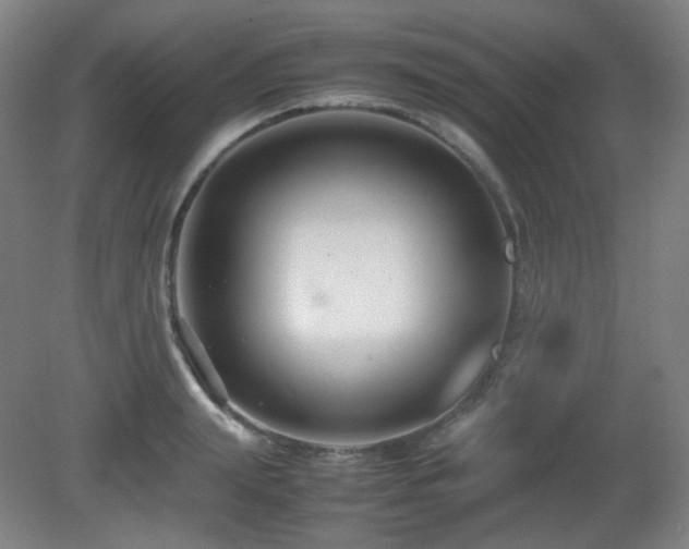X0000080660847200612151129