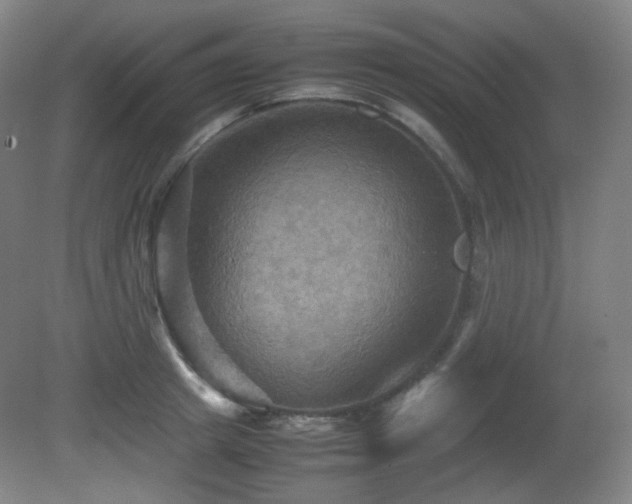 X0000080660849200612151129