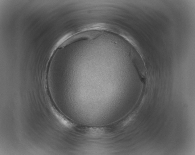 X0000080660850200612151129