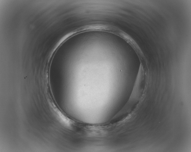 X0000080660852200612151129