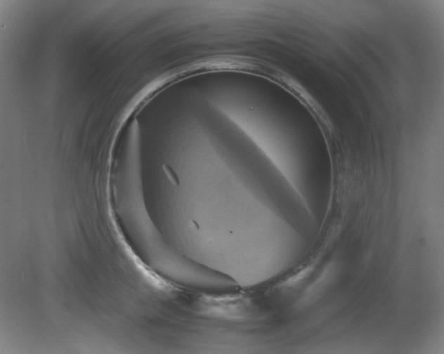 X0000080660853200612151129