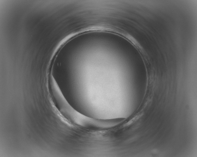 X0000080660854200612151129
