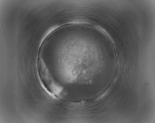 X0000080660855200612151129