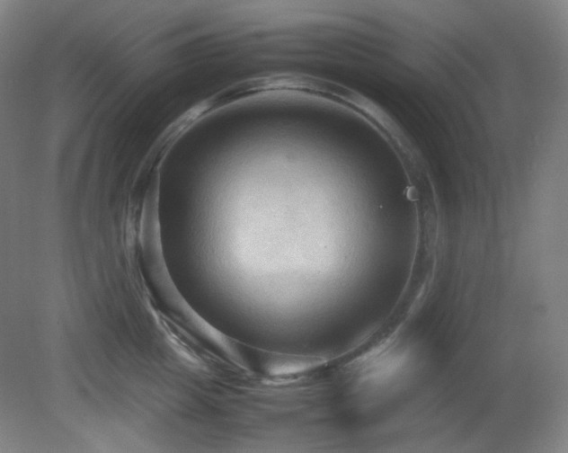 X0000080660857200612151129