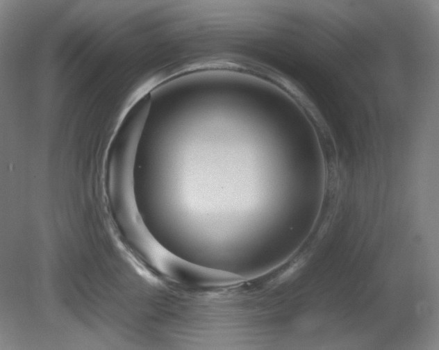 X0000080660858200612151129