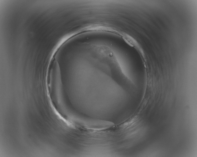 X0000080660863200612151129
