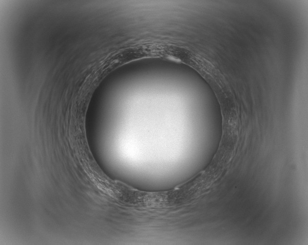 X0000080660865200612151128