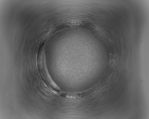 X0000080660866200612151128