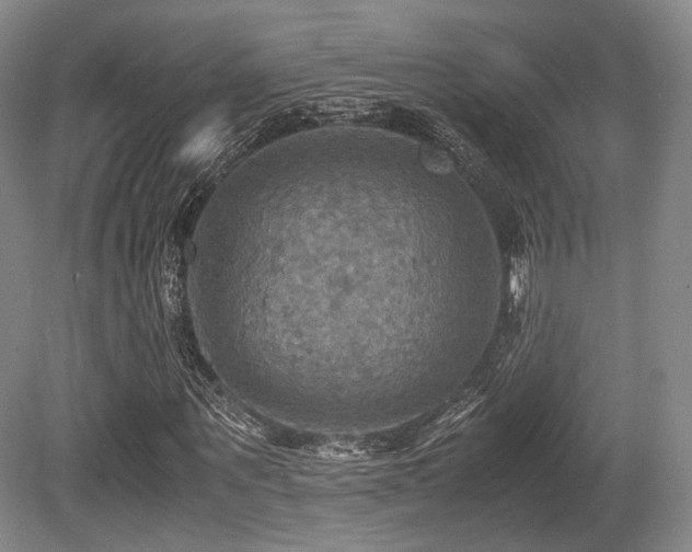X0000080660867200612151128