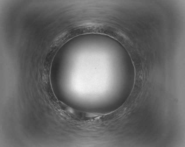 X0000080660869200612151128