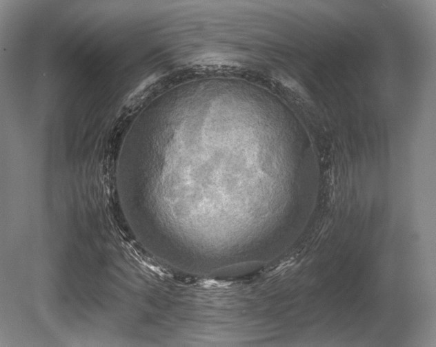 X0000080660870200612151128