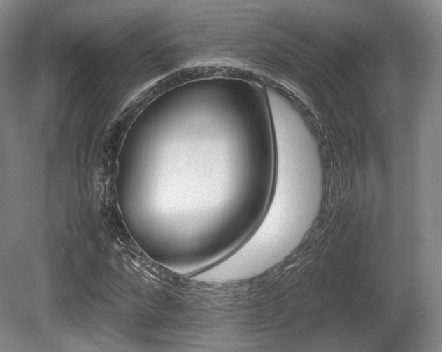 X0000080660872200612151128