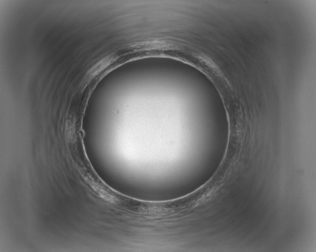 X0000080660873200612151128