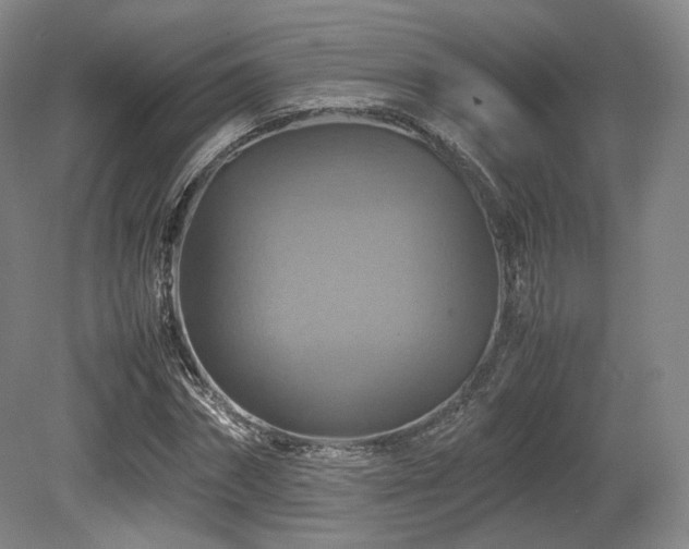 X0000080660874200612151128
