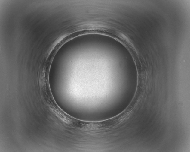 X0000080660875200612151128