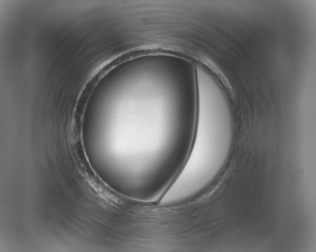 X0000080660876200612151128