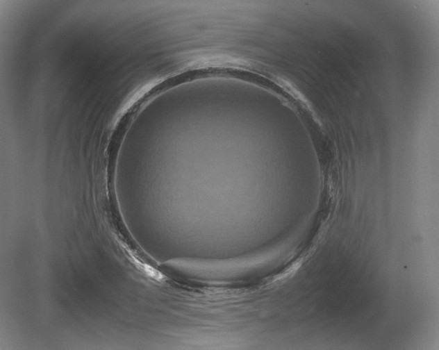 X0000080660877200612151128