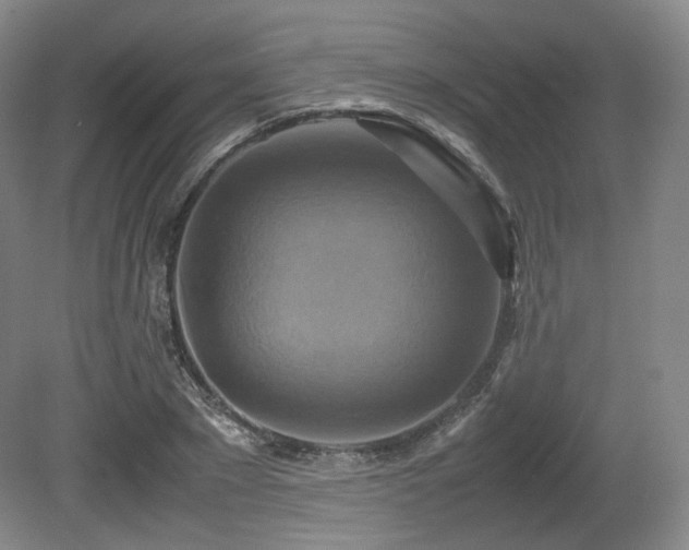 X0000080660881200612151128