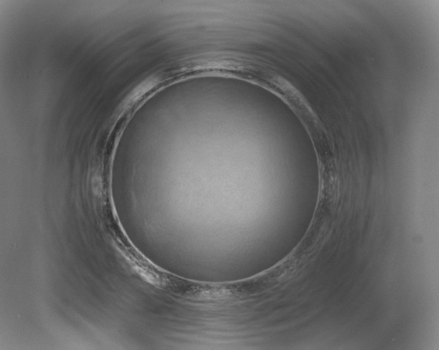 X0000080660882200612151128