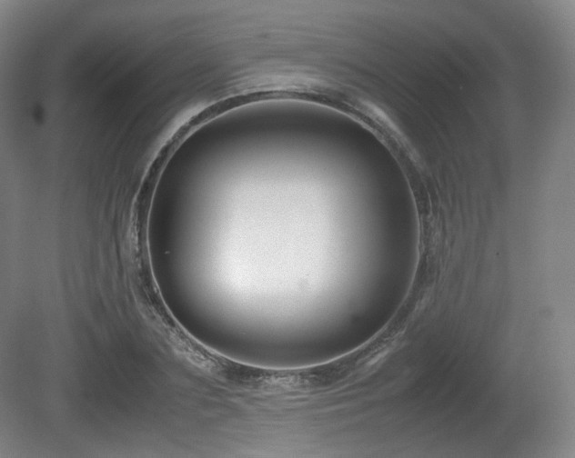 X0000080660883200612151128