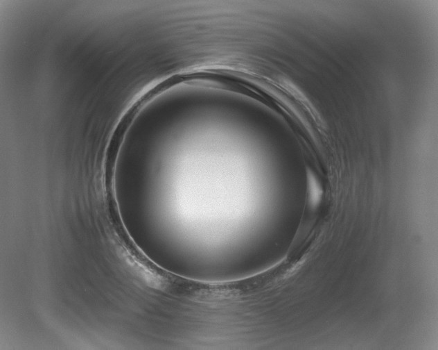 X0000080660884200612151128