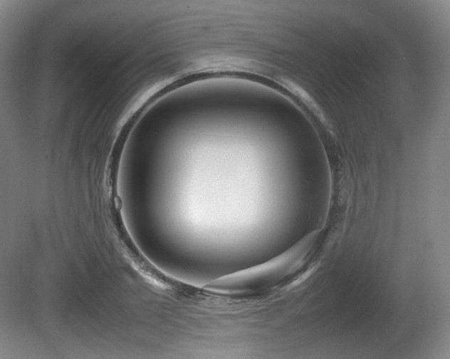 X0000080660885200612151128