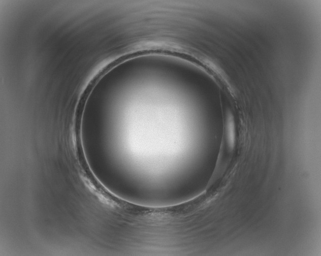 X0000080660888200612151128