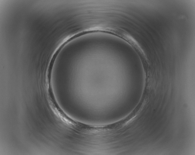 X0000080660892200612151128