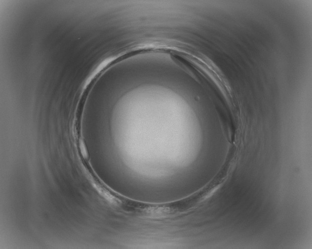 X0000080660893200612151128