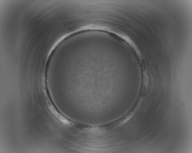 X0000080660896200612151128