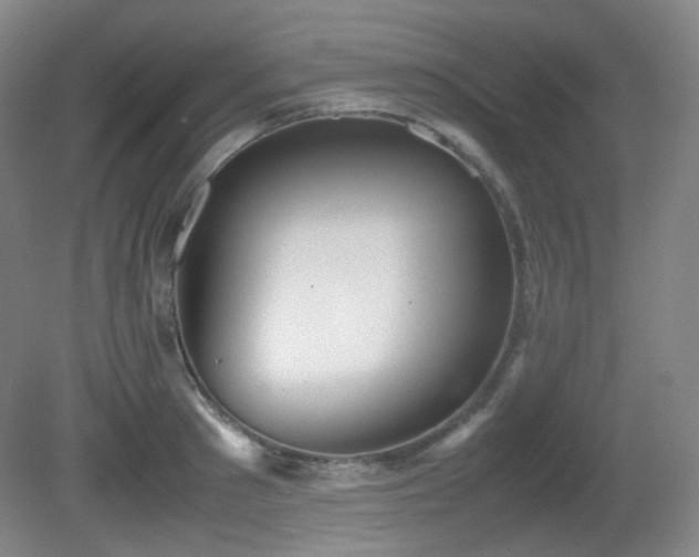 X0000080660897200612151128