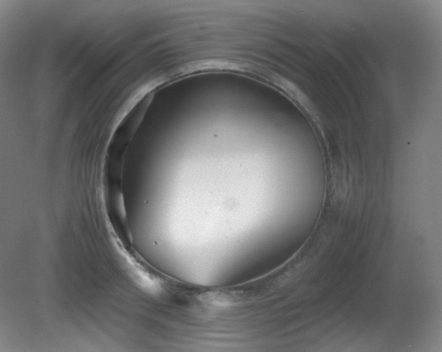 X0000080660898200612151128