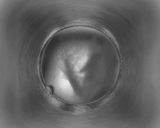 X0000080660899200612151128