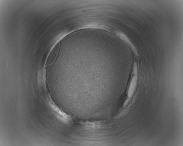 X0000080660900200612151128