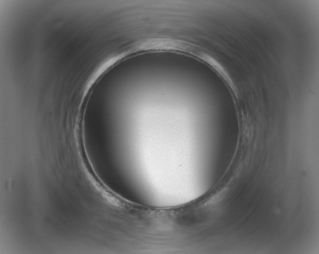 X0000080660901200612151128